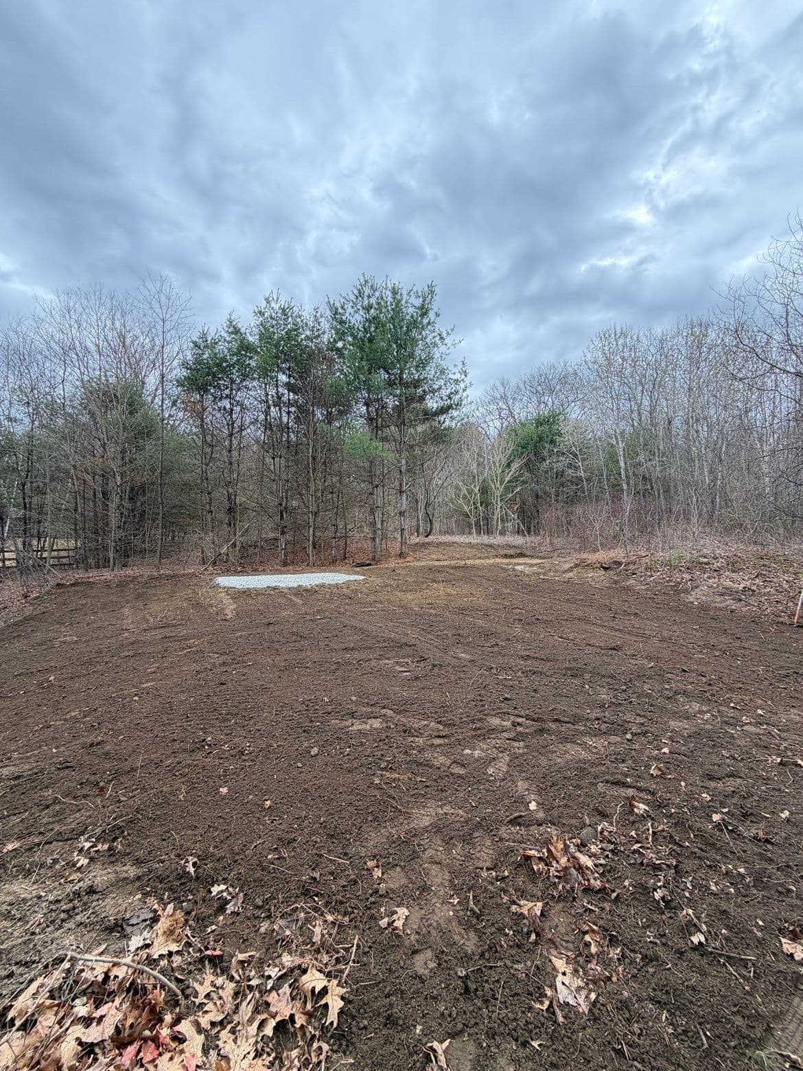 From Overgrown Brush to a Graded Shed Pad in Bolton MA image